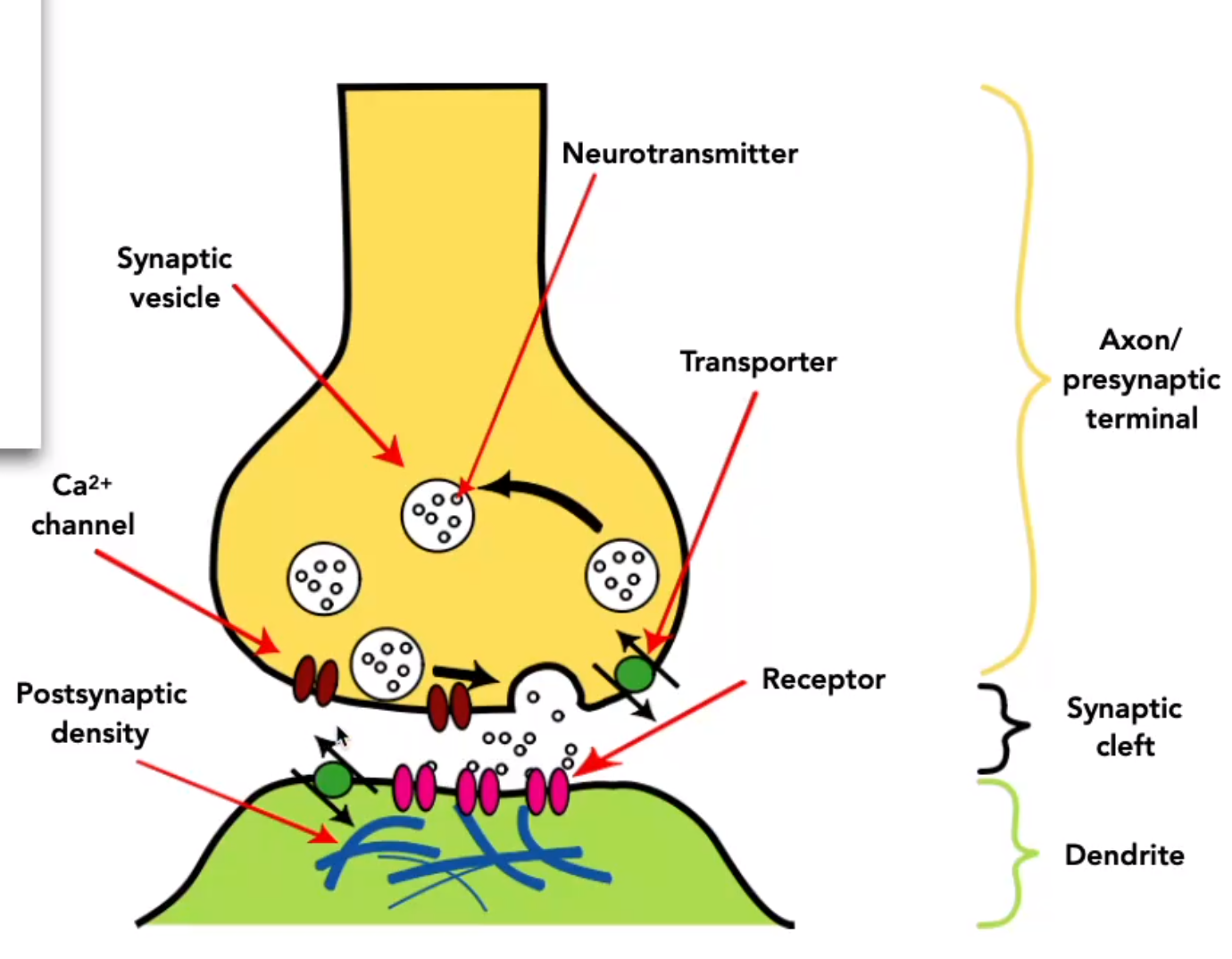 image-20240330180622623