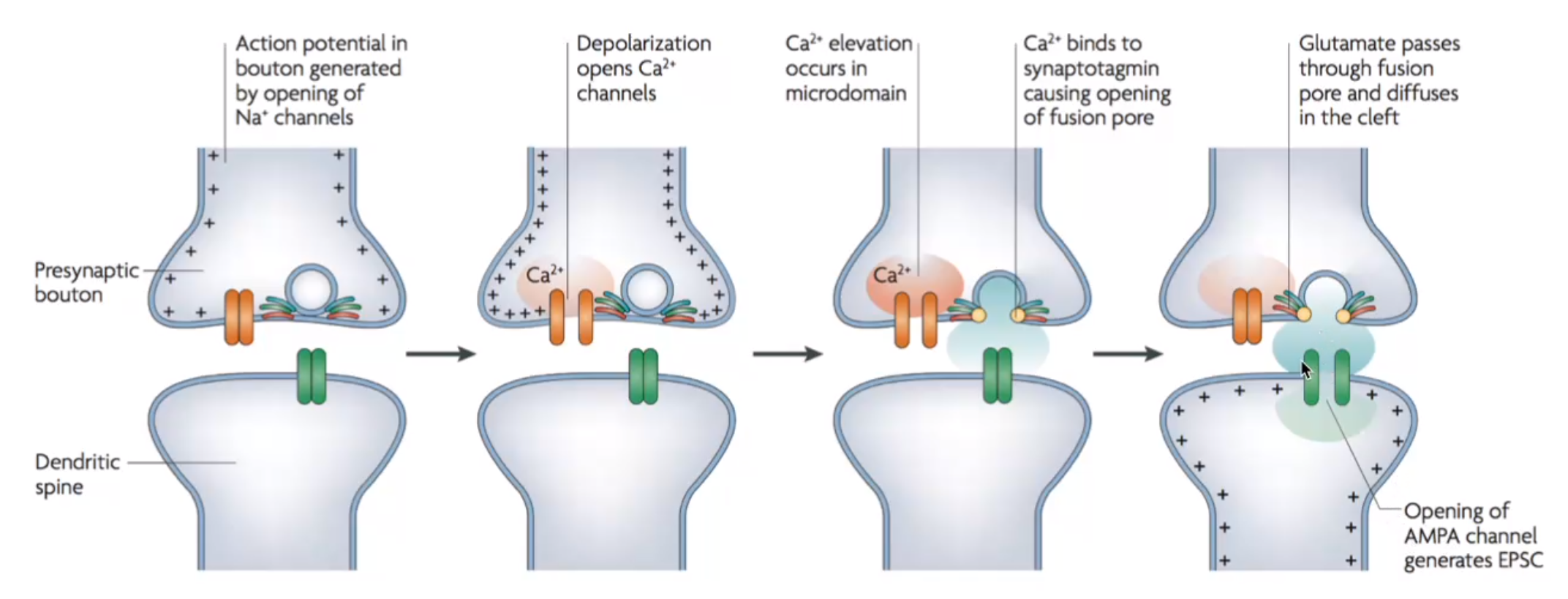 image-20240330181121479