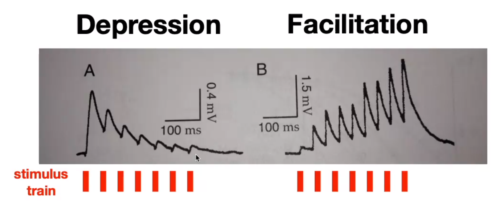 image-20240330185753835