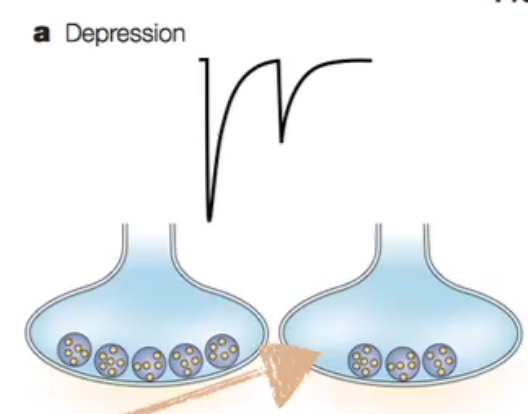 image-20240330190601709