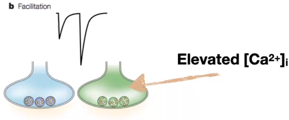 image-20240330191038235