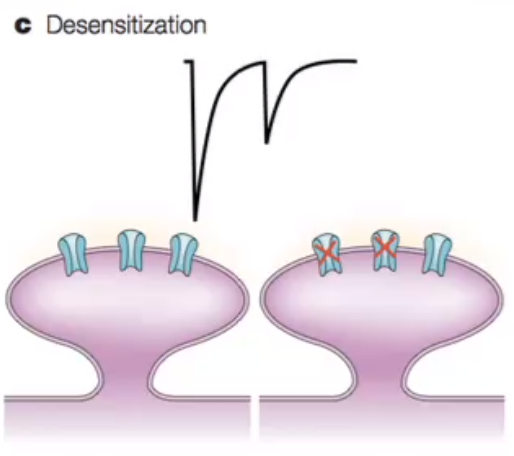 image-20240330191047821