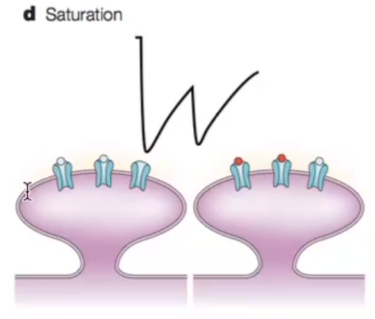 image-20240330191335231