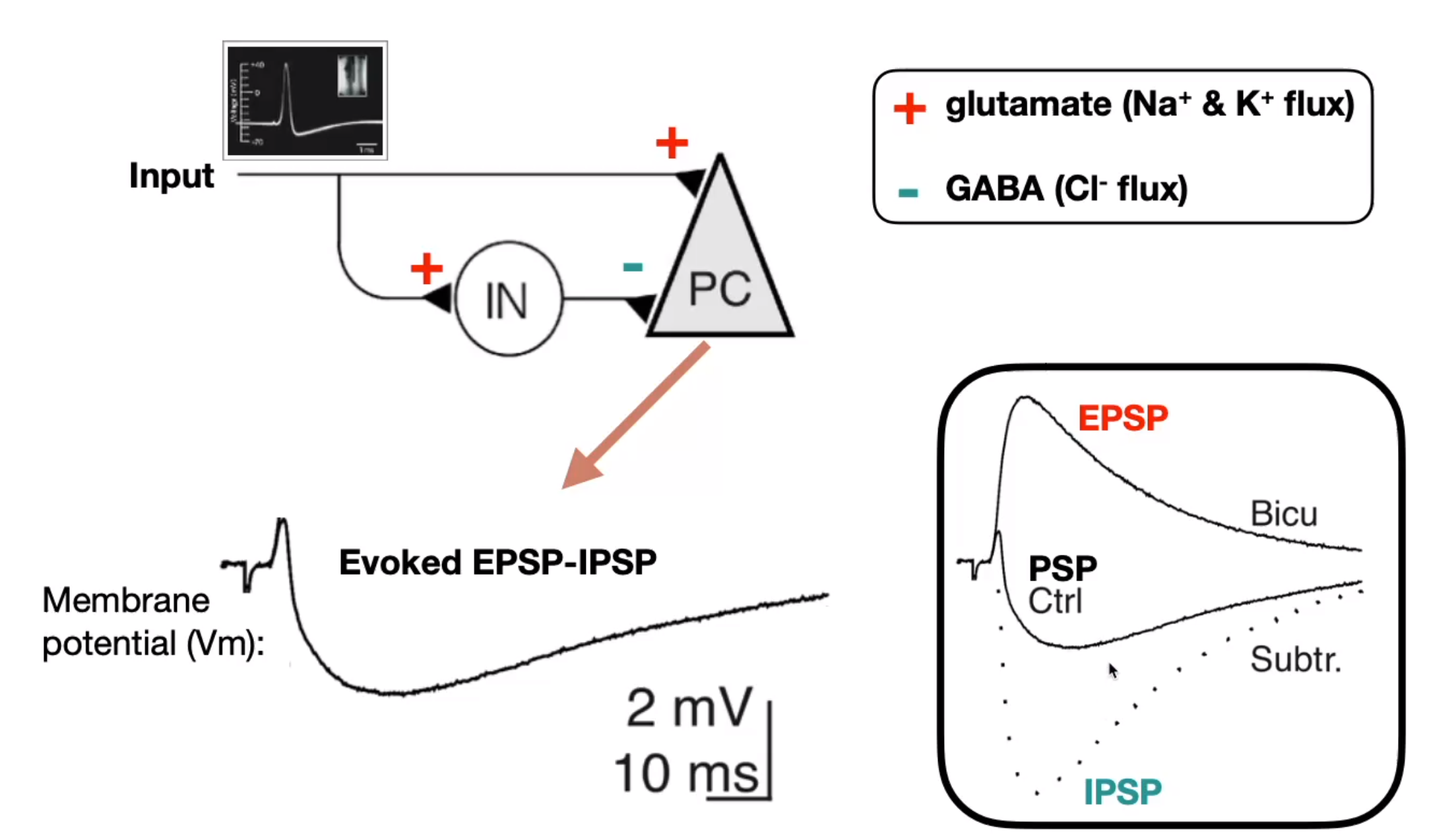 image-20240330193306815