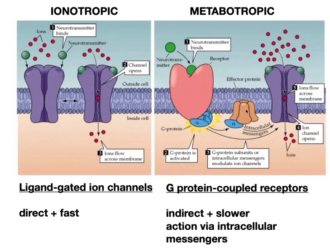 image-20240406172023482