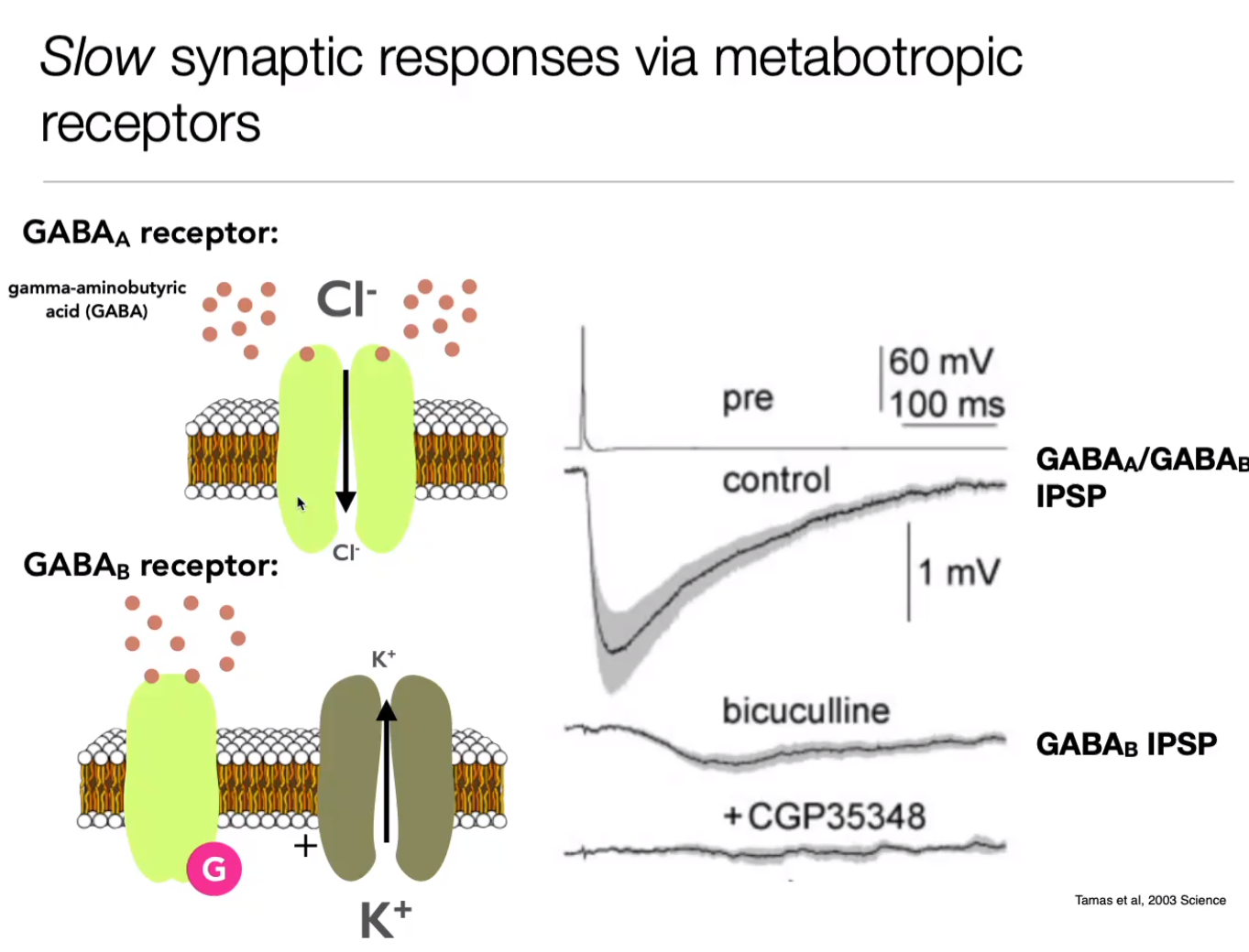 image-20240406172551340