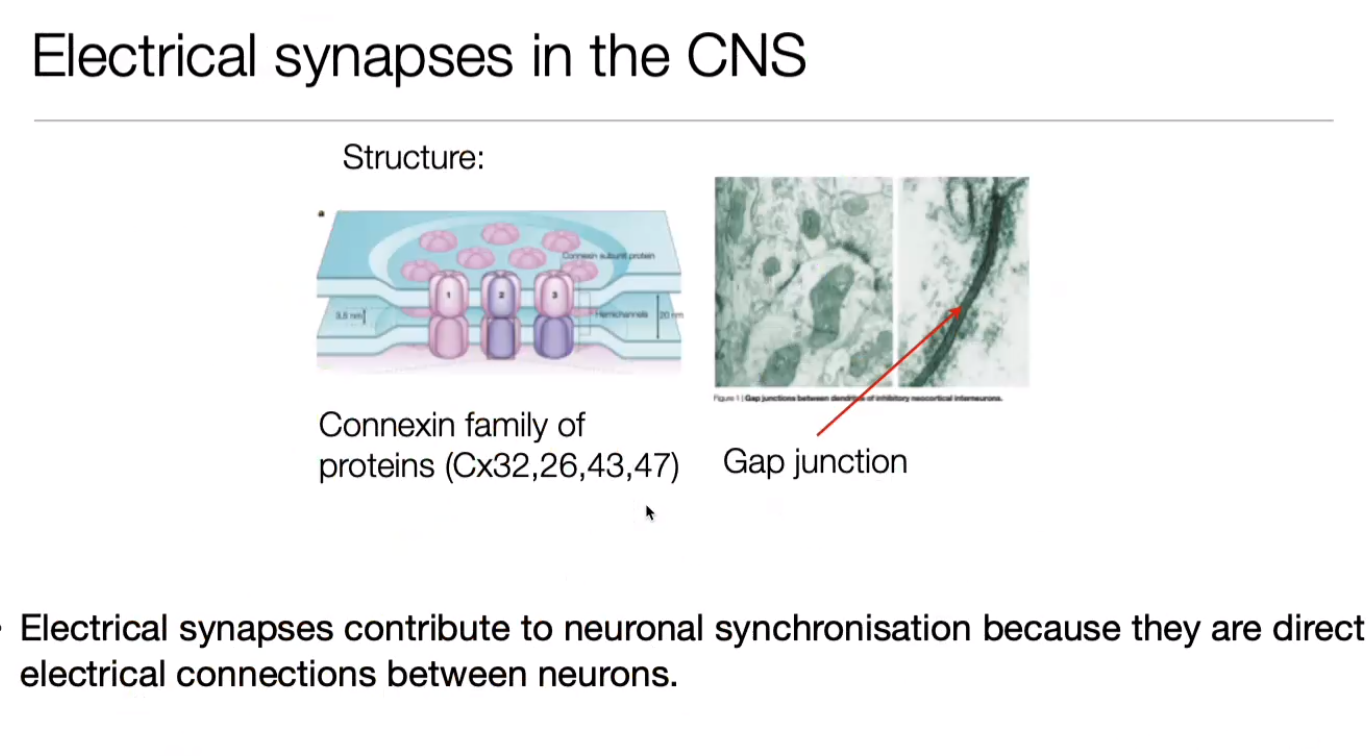 image-20240406172930123