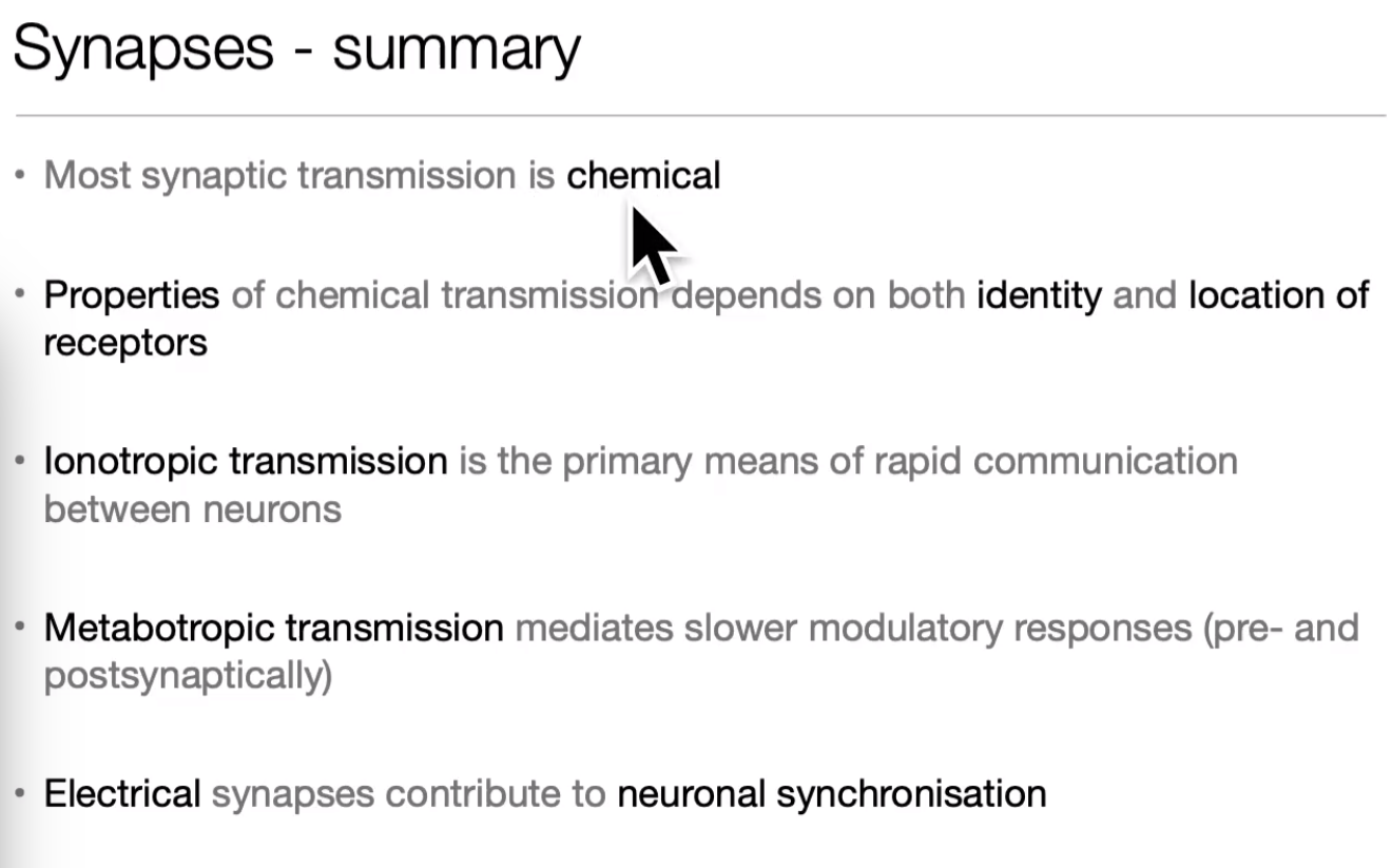 image-20240406173605288