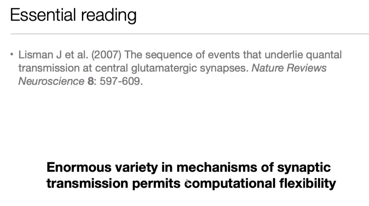 image-20240406174209379