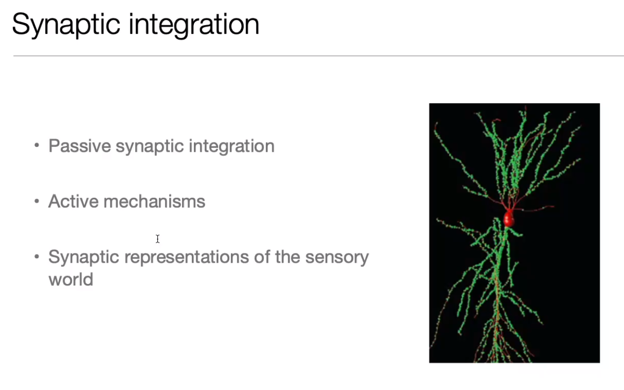 image-20240406174400271