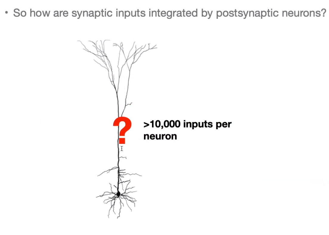 image-20240406174452021