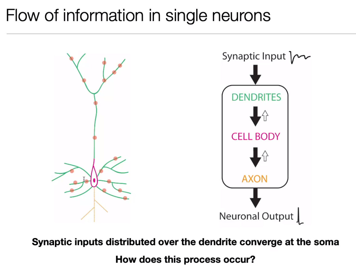 image-20240406174652967