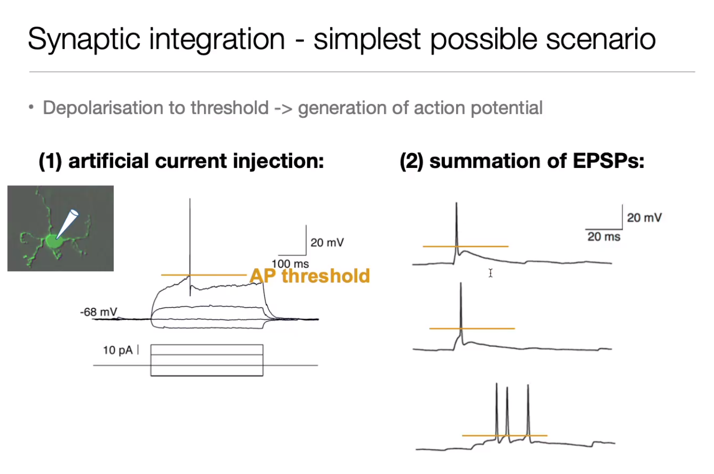 image-20240406174741939