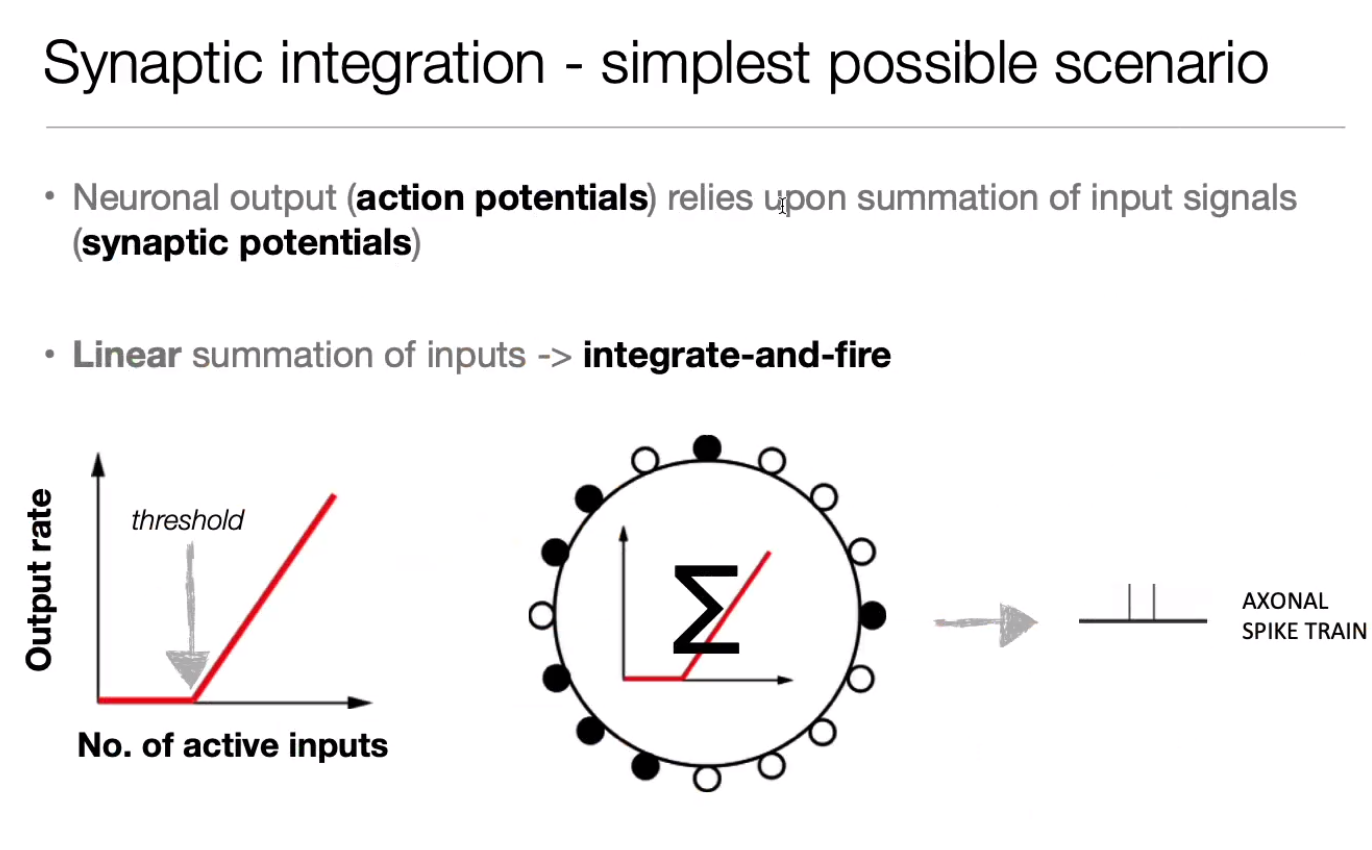 image-20240406174901878