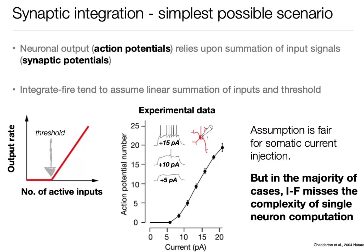 image-20240406175050472