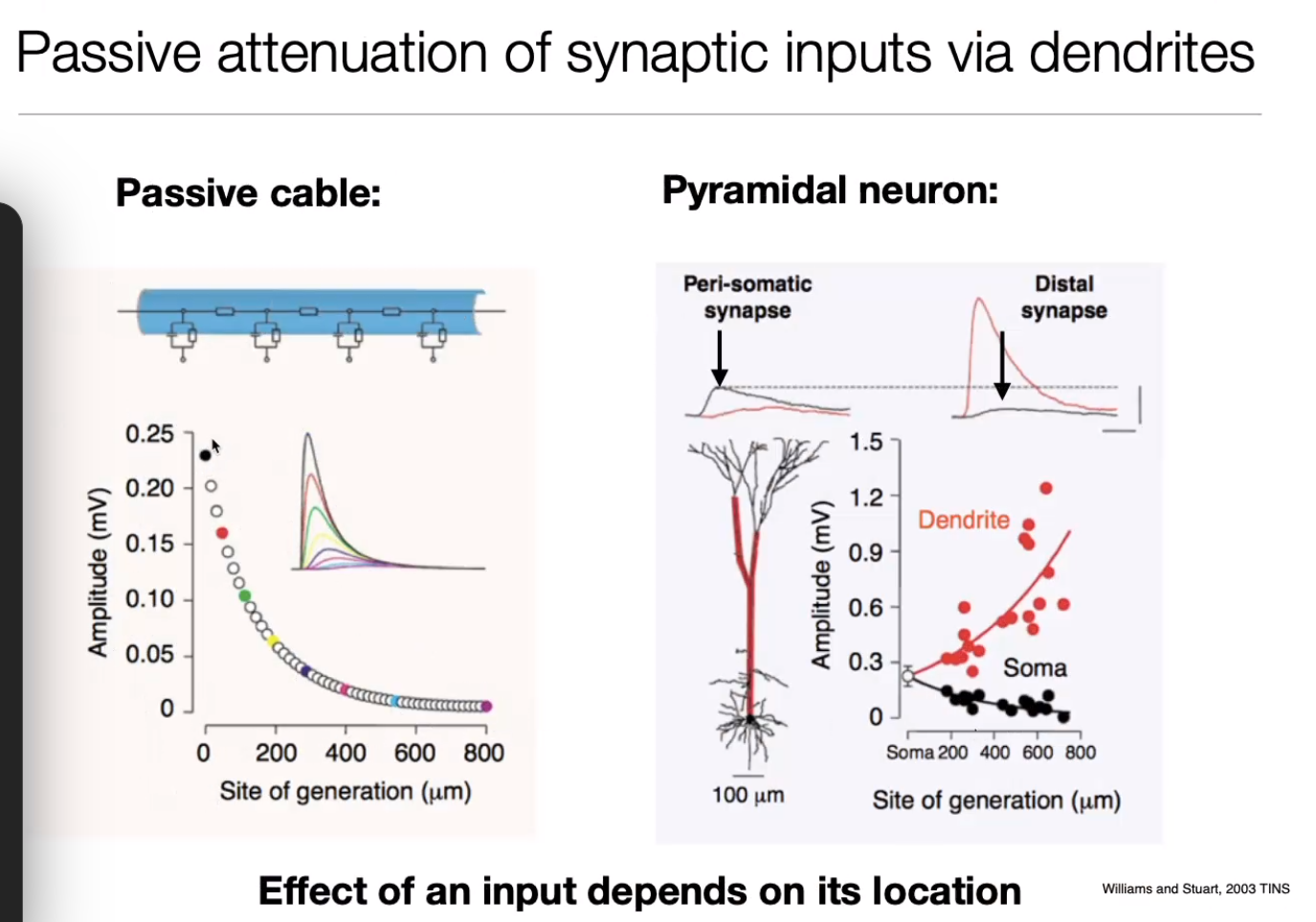 image-20240406175530385