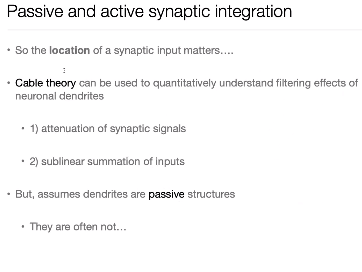 image-20240406181831306