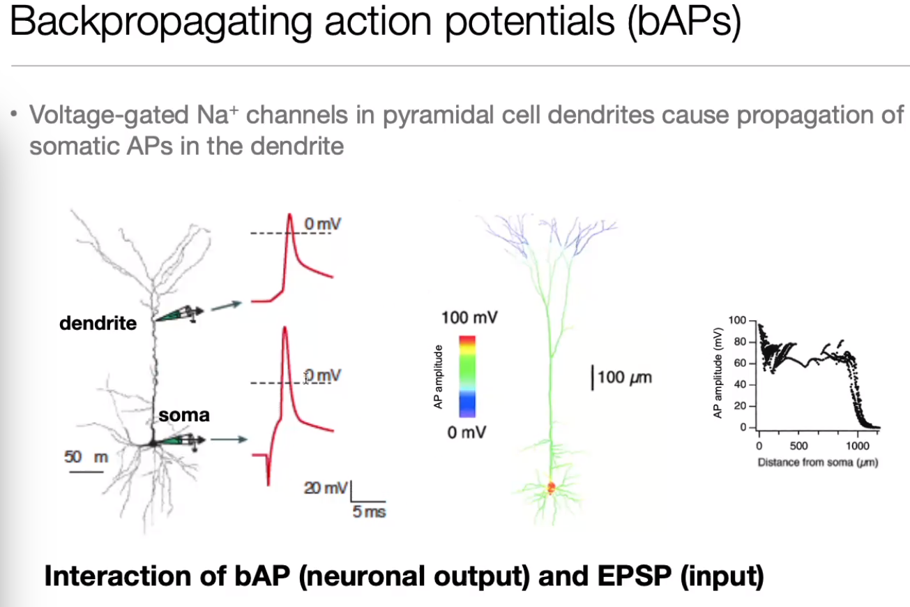 image-20240406182155673