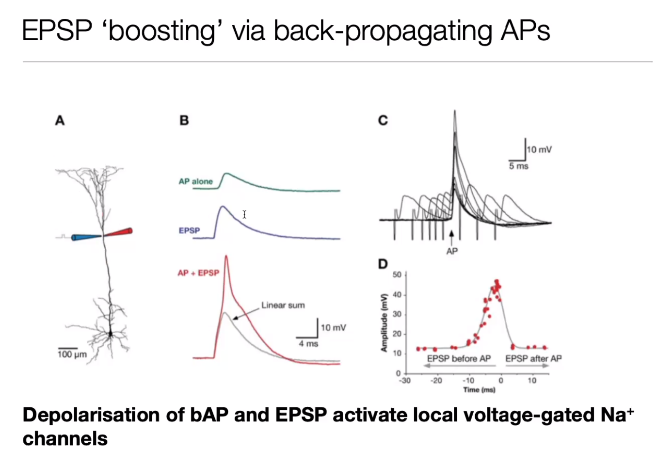 image-20240406182723431