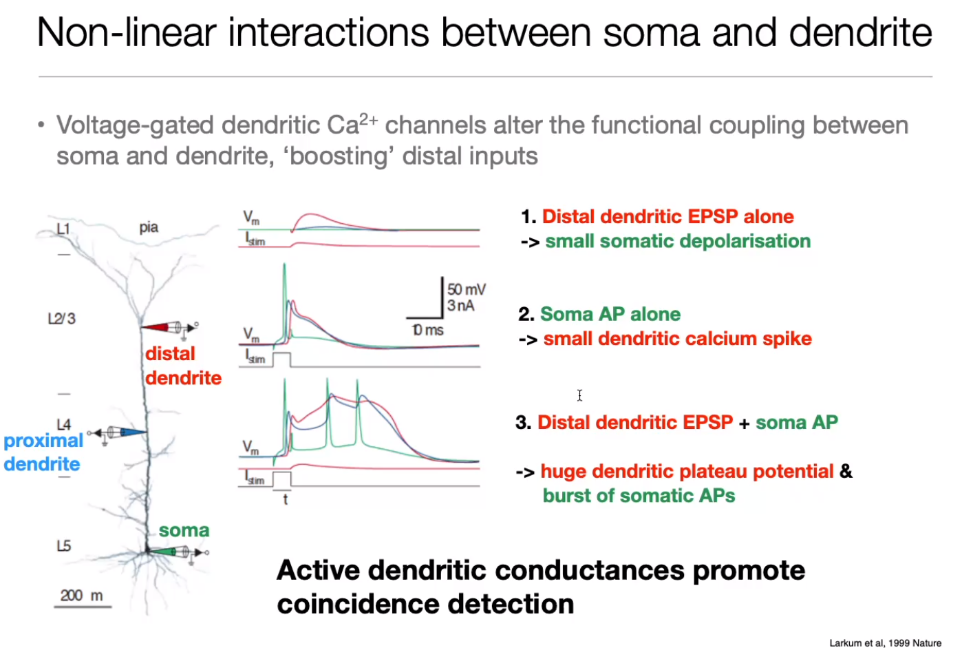 image-20240406183338031