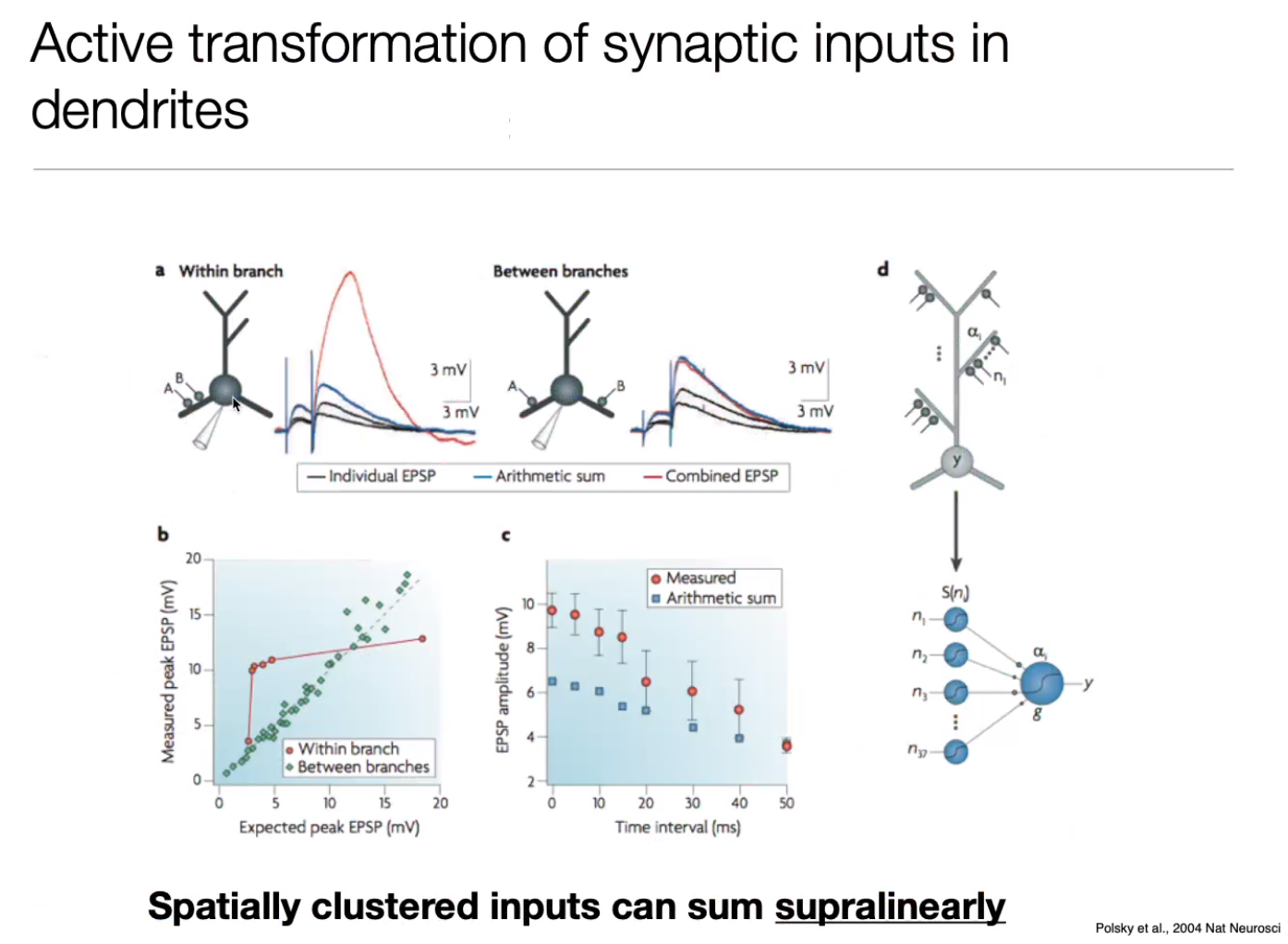 image-20240406184921567