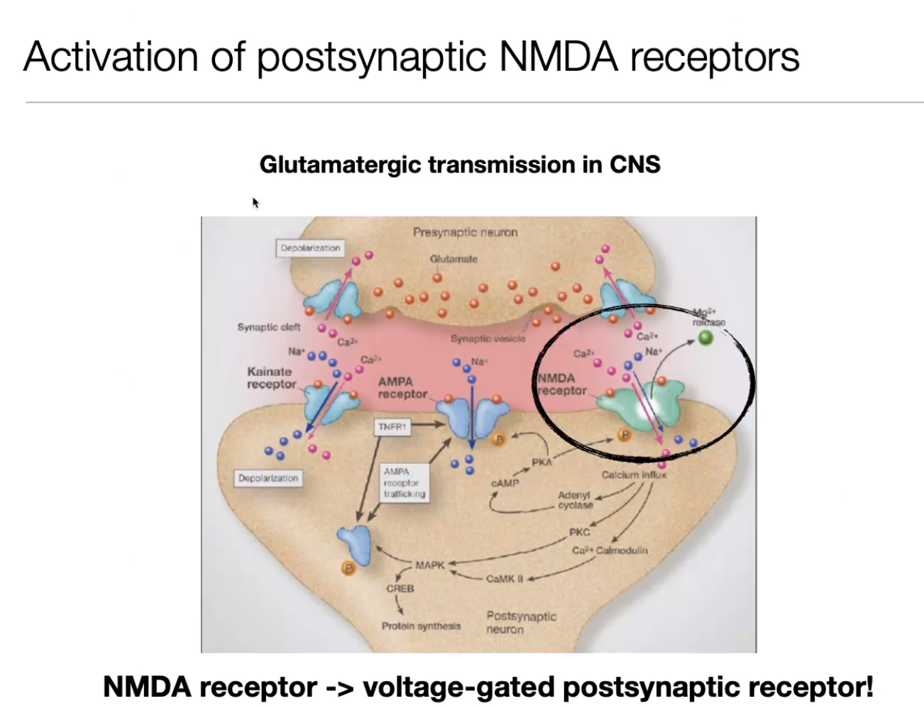 image-20240406185140457