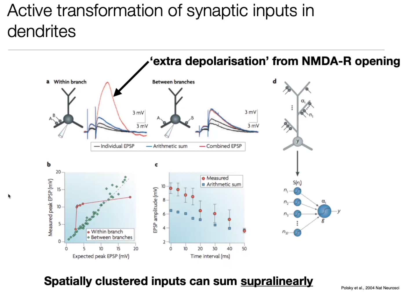 image-20240406185628339