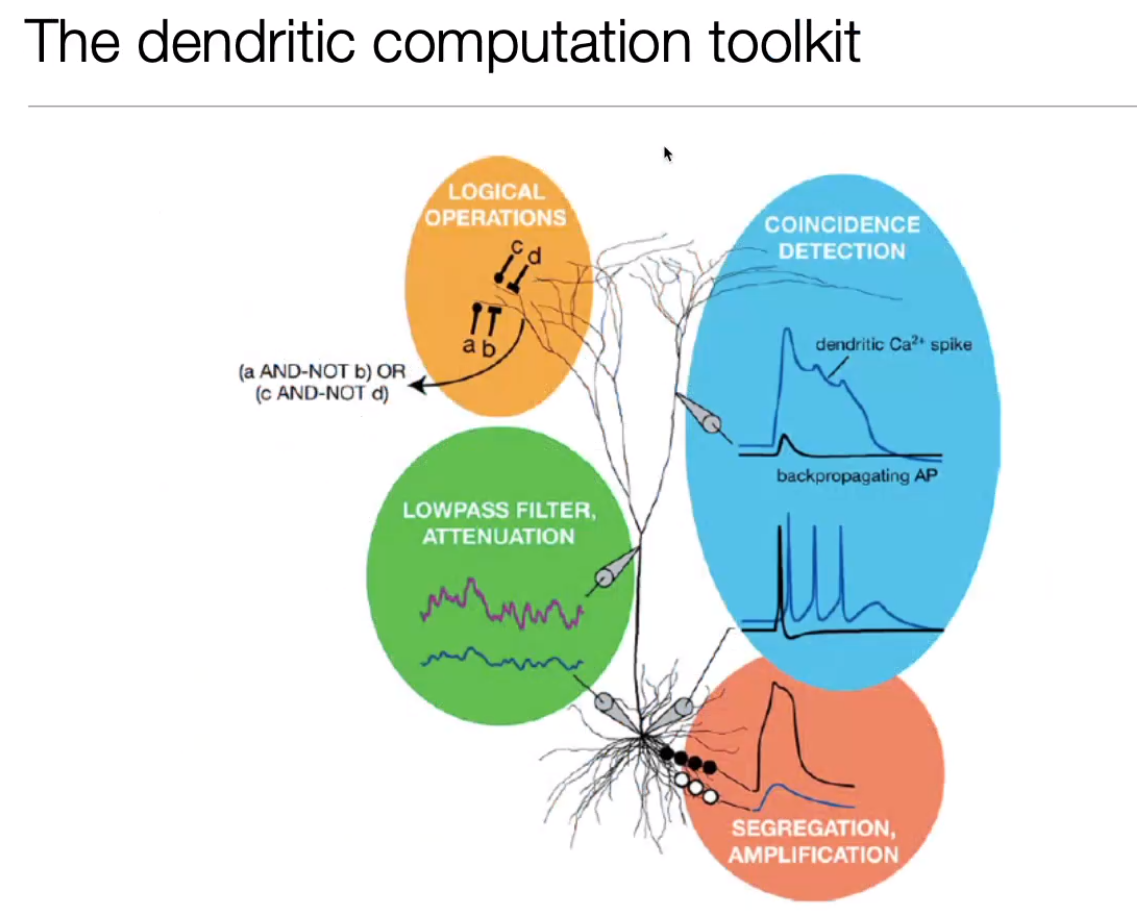 image-20240406185921285