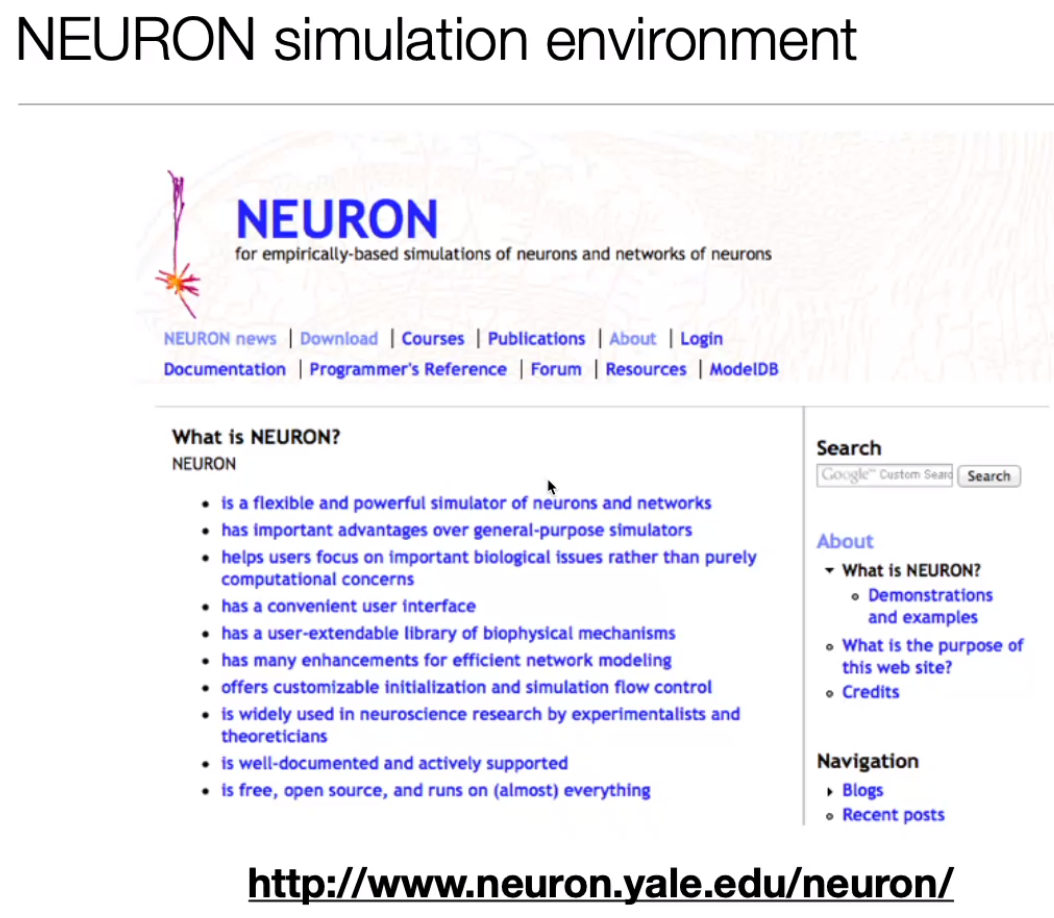 image-20240406190035718