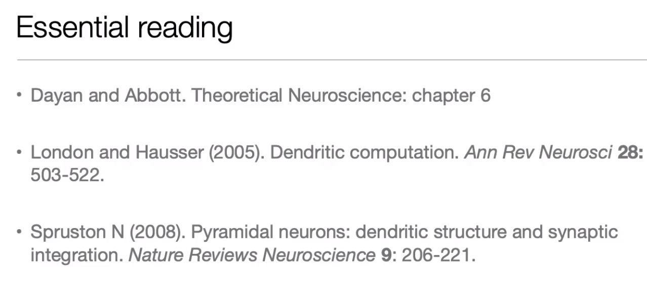 image-20240406190245963